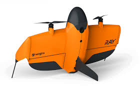 Wingtra Ray