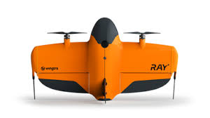 Wingtra Ray